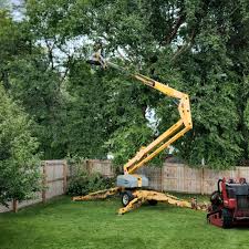 Best Tree Health Inspection  in Snead, AL