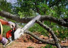 Best Utility Line Clearance  in Snead, AL
