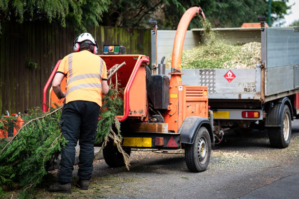 Best Lawn Watering Services  in Snead, AL